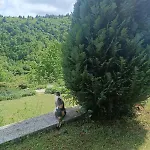 Nature Escape Sarajevo בית נופש