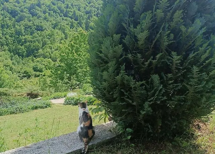 Nature Escape Sarajevo Casa de Férias